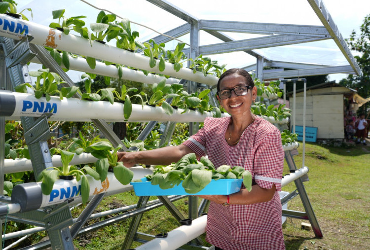 Terbukti Berdampak, Survei Mekaar Soroti Keberhasilan Pemberdayaan Berkelanjutan PNM