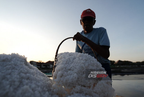 Dengan harga yang stabil, para petani dan pedagang dapat merencanakan strategi mereka dengan lebih baik dan mengurangi risiko kerugian. Kedepannya, para petani berharap agar pemerintah memberikan dukungan lebih lanjut, seperti pelatihan dan fasilitas produksi, untuk meningkatkan kualitas dan kuantitas hasil panen.