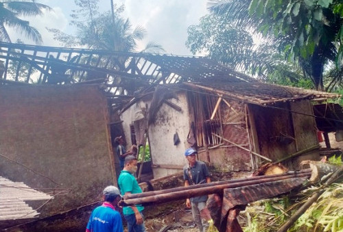 Rumah Rusak Tertimpa Pohon Aren