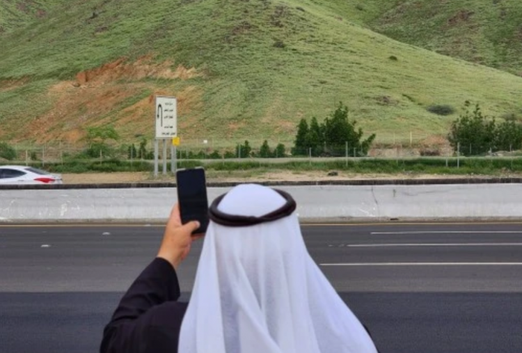 Viral di Medsos! Gurun Arab Saudi Mendadak Hijau, Benarkah Tanda Kiamat?