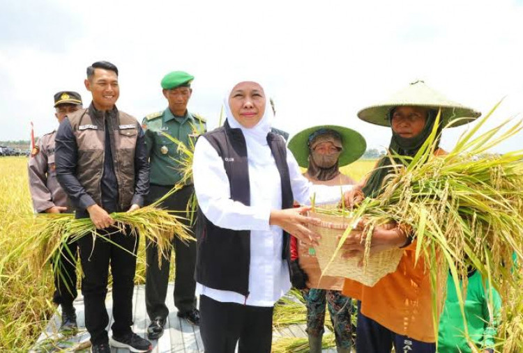Pertumbuhan Ekonomi Jatim Naik 5 persen Mengungguli Nasional