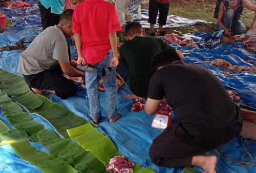 Dukung Surat Edaran Bupati Lahat, Masjid di Tanjung Payang Gunakan Daun Pisang sebagai Wadah Daging Kurban