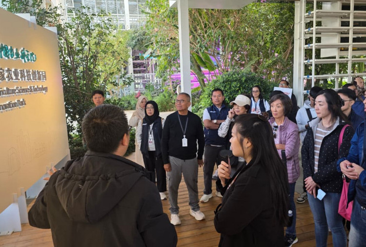 Disway Business Adventures Beijing-Tianjin (4): Rawat Tanaman Selada dengan Robot 