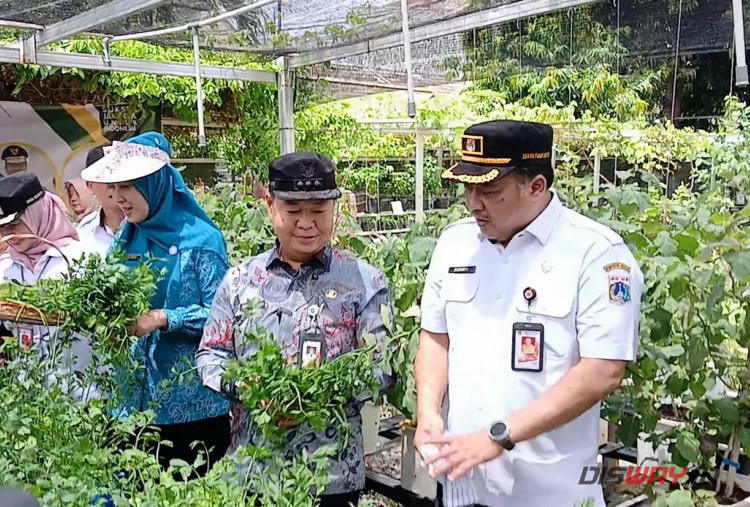 Teguh Setyabudi Dukung Program Makan Bergizi Gratis Melalui Urban Farming