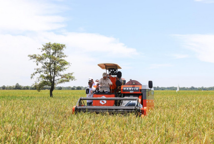 Kementan Optimis Beras Indonesia Bakal Melimpah, Produksi Tertinggi di ASEAN