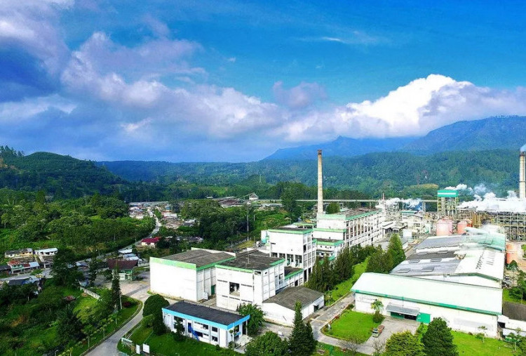 Siapa Pemilik PT Toba Pulp Lestari? Ini Jejak Izin Kelola Hutannya!