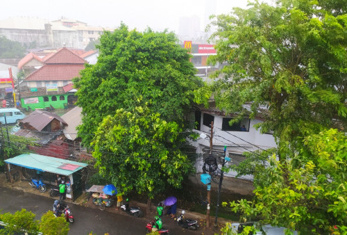 Breaking News: Jakarta Dilanda Hujan dan Angin Kencang, Waspada Pohon Tumbang!