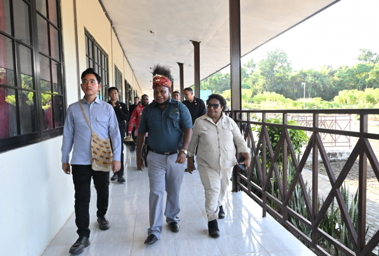 Gibran Tinjau Sentra Kakao Papua, Wamendagri Klaim Dana Otsus Tepat Sasaran