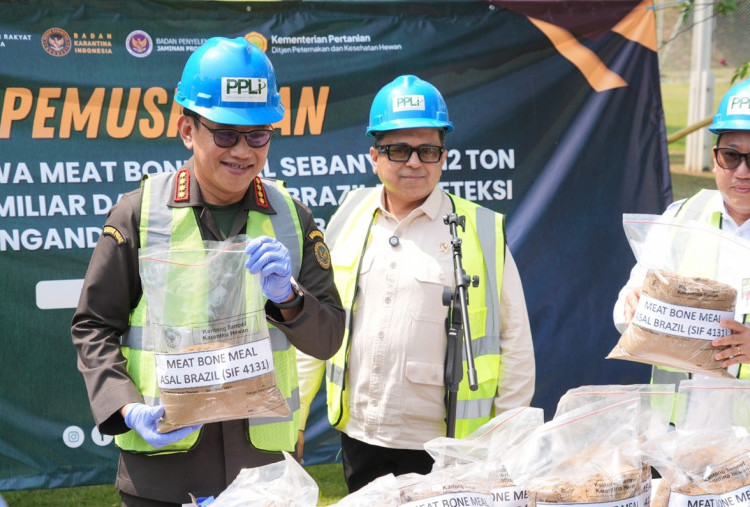 Pemerintah Musnahkan 312 Ton Bahan Baku Pakan Terkontaminasi Unsur Babi, Ini Komentar Kepala BPJPH