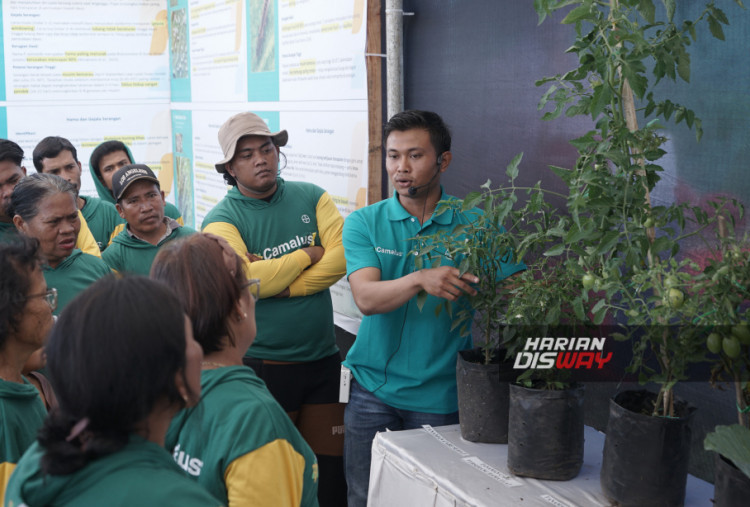 Camalus hadir menjawab kebutuhan petani yang selama ini harus mencampur dua jenis insektisida untuk mengatasi serangan hama yang muncul bersamaan. Produk ini telah melalui proses riset sekitar 10 tahun serta ratusan uji lapangan, termasuk di Indonesia.