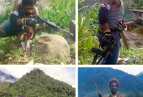 1 Anggota KKB Papua Diamankan, Terlibat Pembakaran Camp PT Unggul