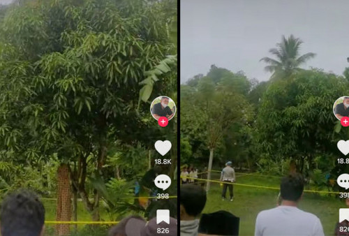 Viral! Warga Aceh Temukan Mayat Tergantung di Pohon Mangga, Polisi Langsung Evakuasi