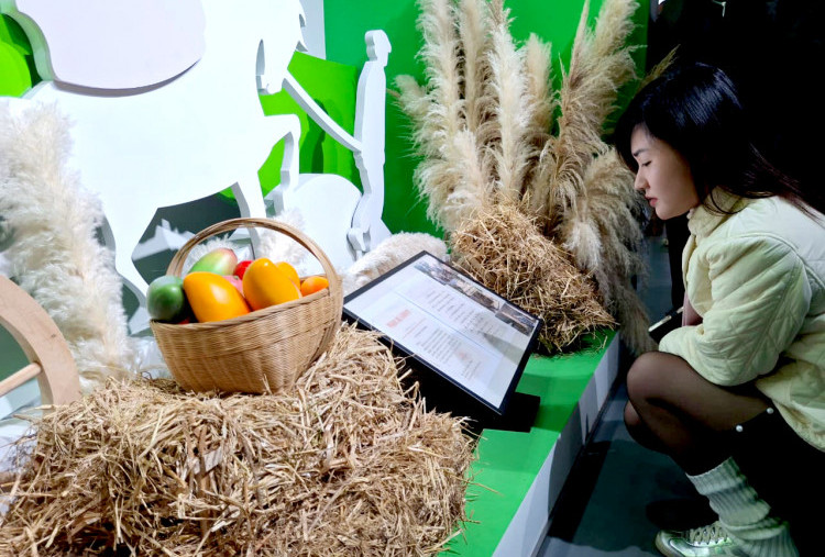 Harian Disway di China International Press Communication Center (CIPCC) (63): Panzhihua, Antara Baja dan Mangga