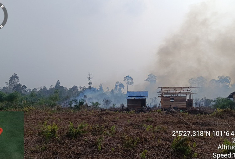 Karhutla Riau Capai 20.691 Hektare, WALHI: Kenapa Tak Ada Korporasi yang Disanksi?