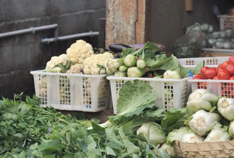 Desa BRILian Sumowono, Desa Sayur yang Tumbuh dan Terus Berinovasi Bersama BRI 