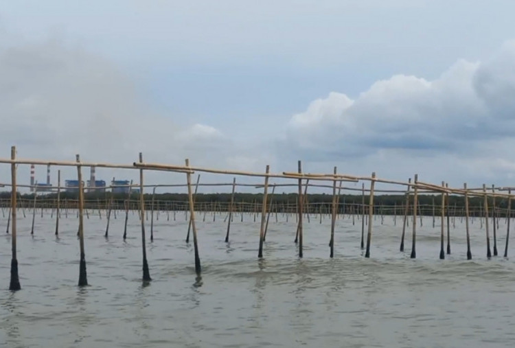 Pagar Laut Muncul di Pesisir Tangerang, Kakorpolairud Beri Penjelasan