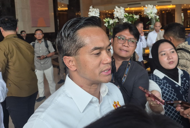 Anindya Bakrie Beberkan Isi Pertemuan dengan Luhut, Bahas Apa?