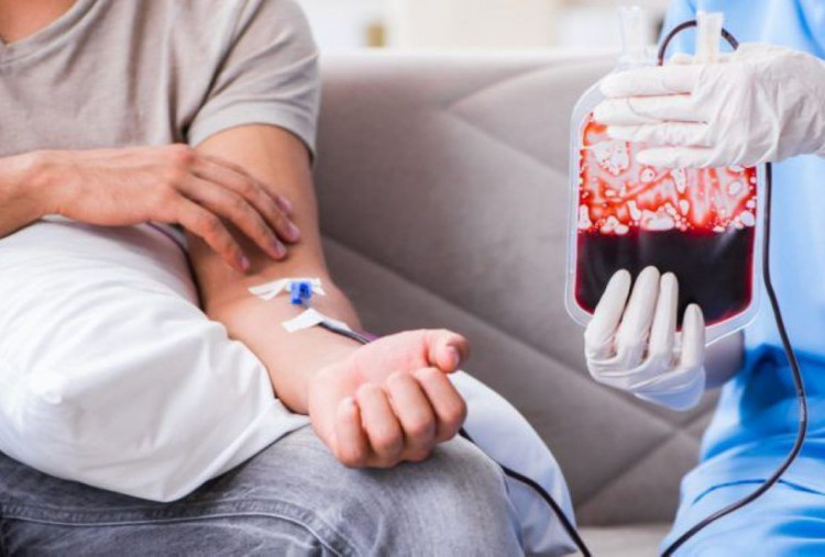 Hukum Islam Donor Darah atau Ambil Sampel Darah saat Puasa Ramadan 2026