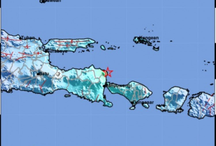 Gempa Guncang Jawa Timur dan Bali, Getaran Terasa hingga Surabaya dan Lombok