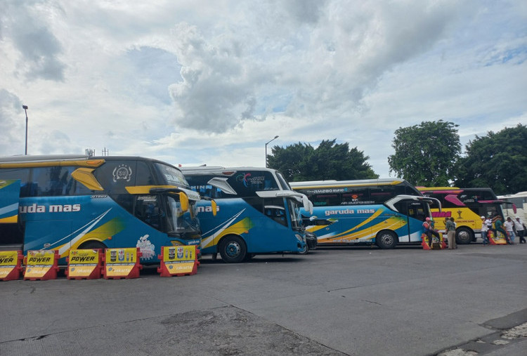 Daftar PO Bus di Terminal Kalideres Siap Sambut Nataru, Jawa dan Sumatra Tujuan Favorit