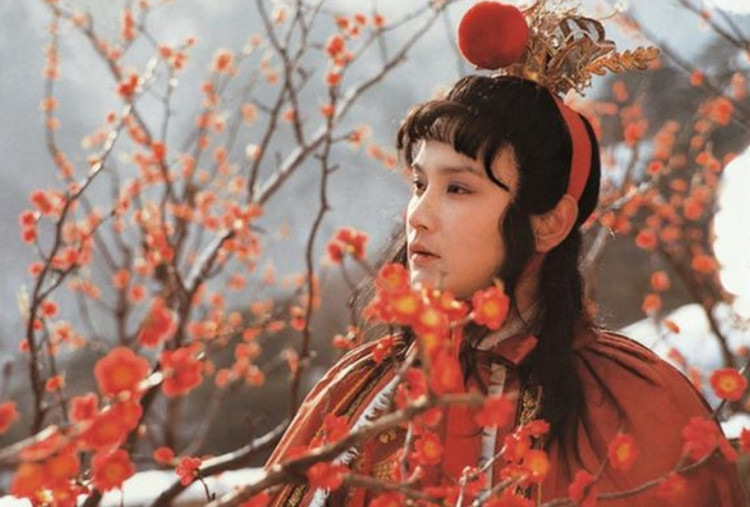 Mengenal Jia Baoyu, Tokoh Utama A Dream of Red Mansions yang Sarat Makna Filosofis