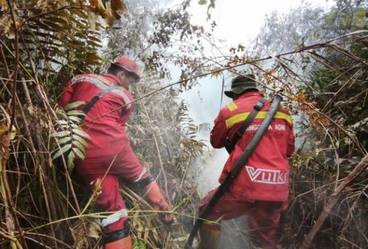 Kebakaran Lahan di Kawasan Merbau Pelalawan Berhasil Dikendalikan, Tim Gabungan Lakukan Pendinginan