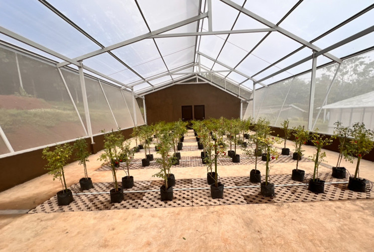 Kemdiktisaintek Ajak PTS Bangun Techno Park, Universitas Gunadarma Jadi Percontohan