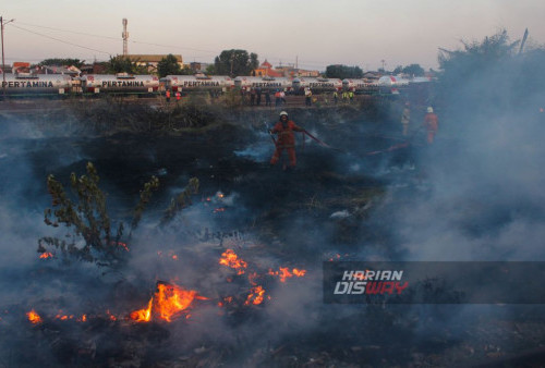 Kebakaran Lahan di Surabaya