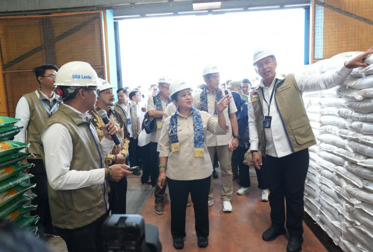 BULOG Tambah Kapasitas Penyimpanan Pangan, Gudang Baru di Kalsel Diresmikan Titiek Soeharto