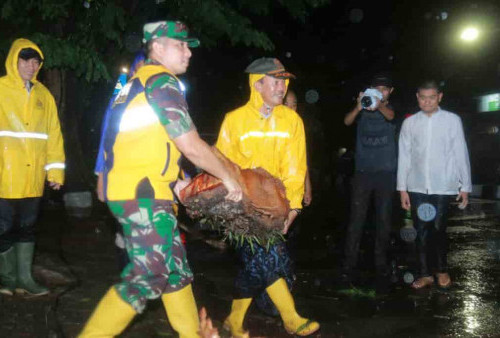 Wako Harnojoyo Bantu Evakuasi Dua Pohon Tumbang