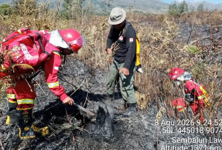 Kemenhut Gerak Cepat Kendalikan Karhutla di Sembalun Rinjani