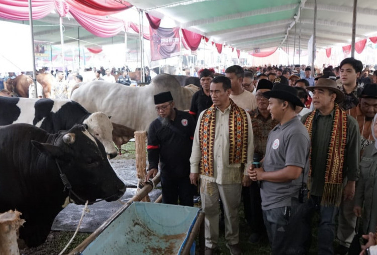 Diprotes Peternak Lampung soal Harga Daging Sapi, Ini Kata Mentan Amran