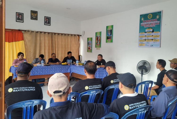 Durian Merah Banyuwangi Disiapkan Menuju Status Indikasi Geografis Resmi