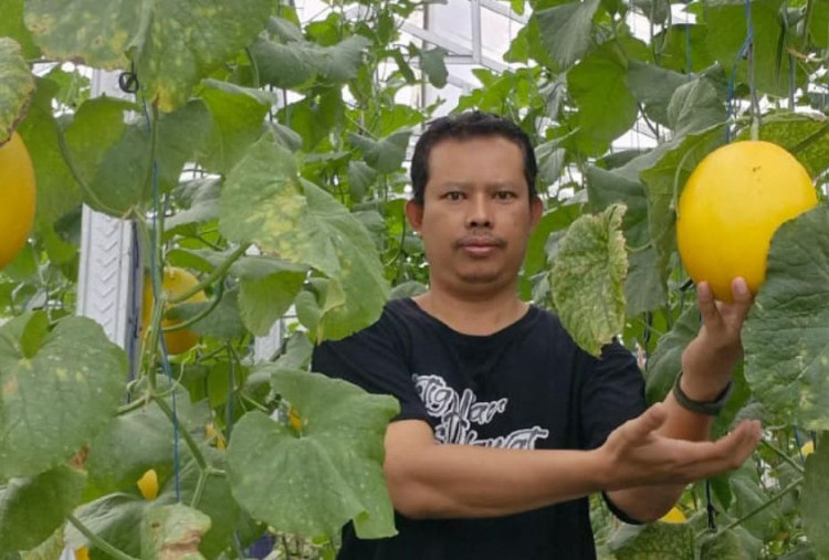 Ikut Pelatihan IoT di BBPP Ketindan, Petani di Kediri Sukses Naikkan Hasil Produksi Hingga 70 Persen