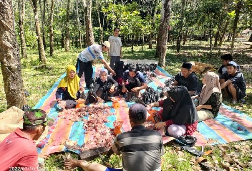 Sembelih 24 Hewan Kurban, Semua Warga Desa Gunung Agung Kebagian Daging