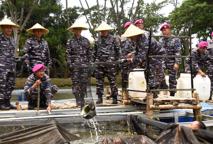 Dalam kegiatan tersebut jenis padi yang dipanen  adalah IR 64 dengan lahan seluas 3,6 Hektar selama 110 Hari . Dari luasan tanam itu menghasilkan gabah seberat 17 Ton. Selama perawatan menggunakan pupuk sejenis Urea, ZA, Phonska dan NPK serta obat Fungisida, Pestisida Insektisida dan Bentan sehingga menghasilkan Nasi Putih yang mengandung sekitar 90 persen Karbohidrat, 8 persen Protein dan 2 persen lemak.
Selain panen raya Padi, Komandan Pasmar 2 juga melaksanakan panen ikan Nila di kolam Batalyon Infanteri 3 Marinir.

Dispen Kormar, TNI AL (Sidoarjo).

