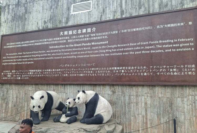 Harian Disway di China International Press Communication Center (CIPCC) (59): Sore di Negeri Panda