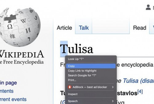 Rusia Mendenda Wikipedia