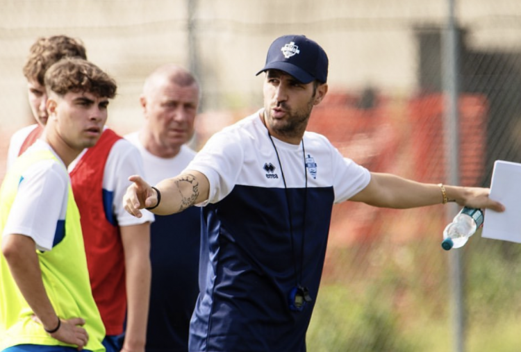 Fabregas hingga Xavi Hernandez: 7 kandidat Pengganti Rosenior di Chelsea