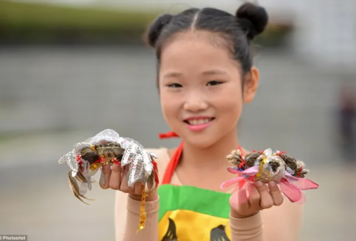 Fashion Show Kepiting di Tiongkok