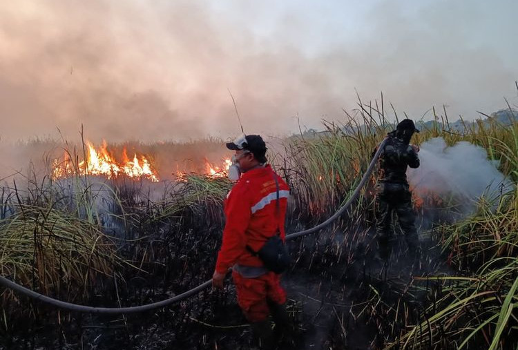 Polri Tetapkan 72 Tersangka Kasus Karhutla di Sembilan Provinsi