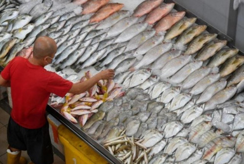 Angka Konsumsi Ikan di OKU Terbilang Tinggi