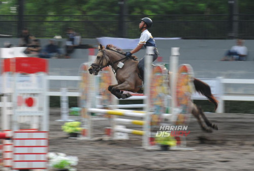 Atlet berkuda mengendalikan kudanya melompati rintangan saat berlatih menjelang Jumping Master 2024 di Kenpark Equeatrian Complex, Surabaya, Jawa Timur, Rabu, 28 Februari 2024. 

Kompetisi Jumping Master 2024 itu diikuti sekitar 124 ekor kuda dari 21 klub tersebut digelar pada 29 Februari hingga 3 Maret 2024. Dengan sejumlah kategori yang diadakan, mulai dari kategori pemula hingga profesional, kompetisi ini memberikan kesempatan bagi semua kalangan untuk berpartisipasi dan menunjukkan kemampuan terbaik mereka dalam dunia jumping. (Julian Romadhon/Harian Disway)

