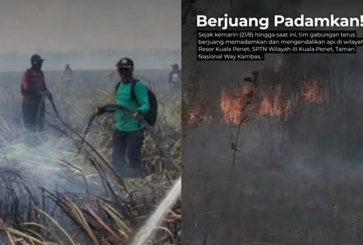 Kawasan Taman Nasional Way Kambas Terbakar, Tim Gabungan Gerak Cepat Padamkan Api