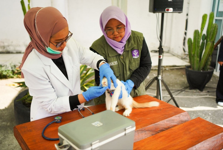 11 Daerah di Riau Masih Status Tertular Rabies, Hanya Meranti yang Bebas