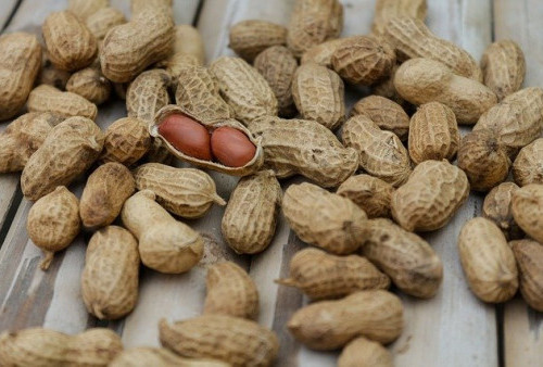 Manfaat Kacang Tanah, Bisa Menjaga Berat Badan dan Mengurangi Risiko Diabetes