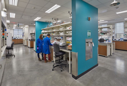 Peneliti University of Oxford Temukan Cara Bertahap yang Lebih Ampuh Tinggalkan Rokok