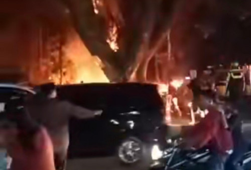 Viral! Pohon Jublek Parung Berusia Ratusan Tahun Terbakar, Netizen: Awas Setannya Ngamuk!
