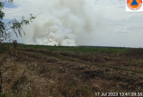 Karhutla Lahap 6,3 Hektar Lahan di Kalimantan Selatan, Kalimantan dan Jawa Dalam Kondisi Mudah Terbakar