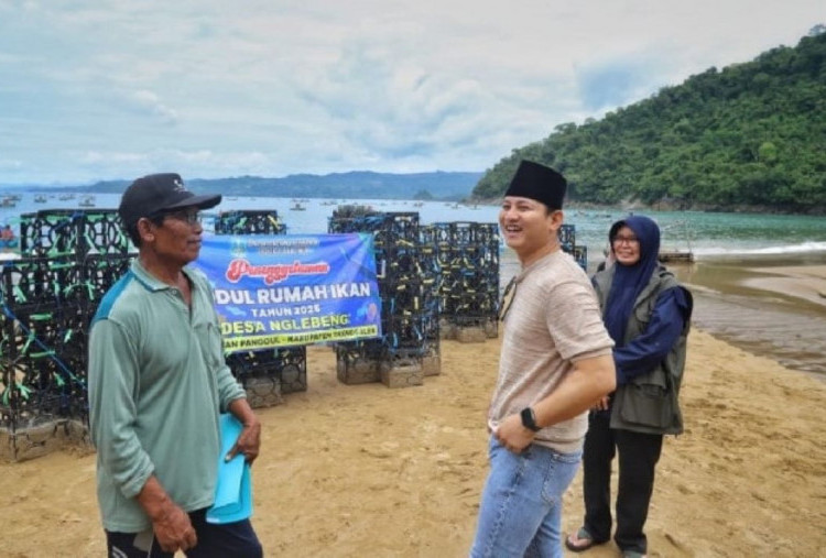 Tempatkan Rumah Ikan dan Sebar Benih Kerapu Macan di Pantai Joketro, Bupati Mas Ipin Dukung Konservasi Laut